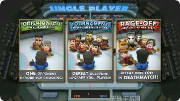 热血冰球免验证版安卓