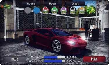 最终拉力赛ios版