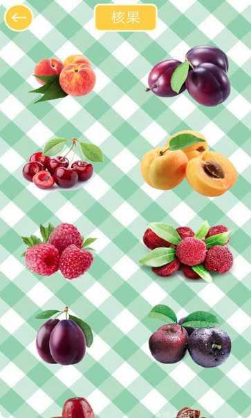 儿童水果拼图2最新版本