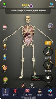 放置人体模型角色大全
