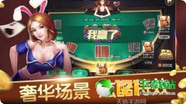 娱网皮球棋牌玩家交流