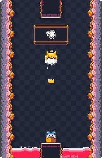 猫猫冲撞下载最新版