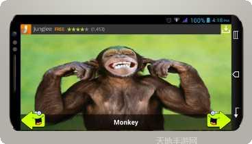 动物运动会玩法介绍