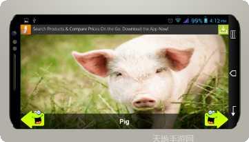 动物运动会角色大全