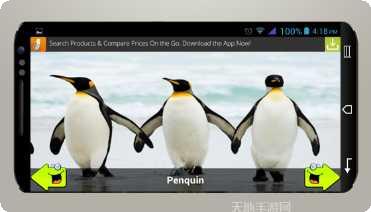 动物运动会趣味挑战