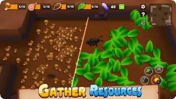 蚂蚁王国战争角色