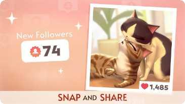 我的猫咪日记最新版本