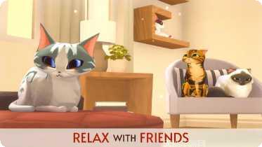 我的猫咪日记互动玩法