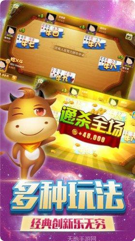 天天斗牛牛最新版本