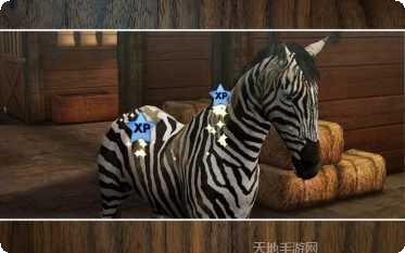 我的马模拟器下载