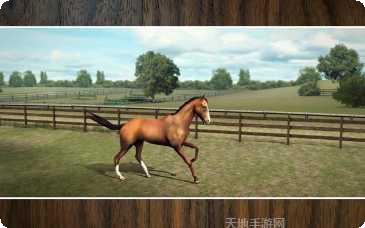 我的马模拟器玩法