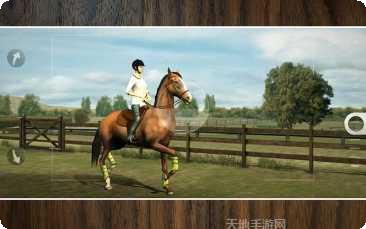 我的马模拟器宠物系统