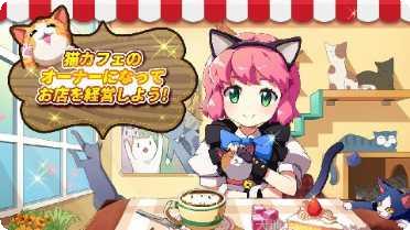 我的猫俱乐部攻略