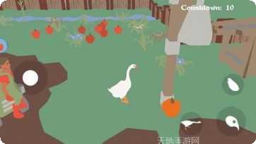 狂暴小鸟最新版本