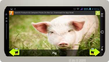 动物运动会好玩吗