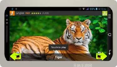 动物运动会最新版本