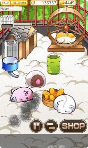 模拟宠物世界宠物种类