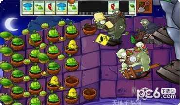 植物大乱斗最新版本