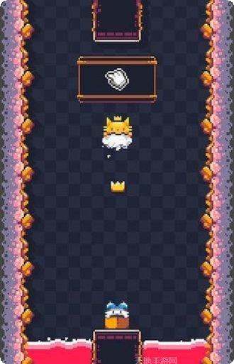 猫猫冲撞下载地址