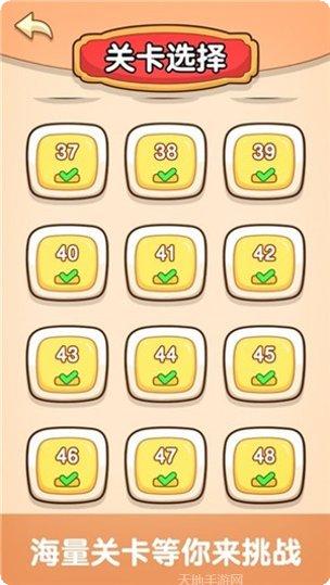 烧脑大师兄攻略