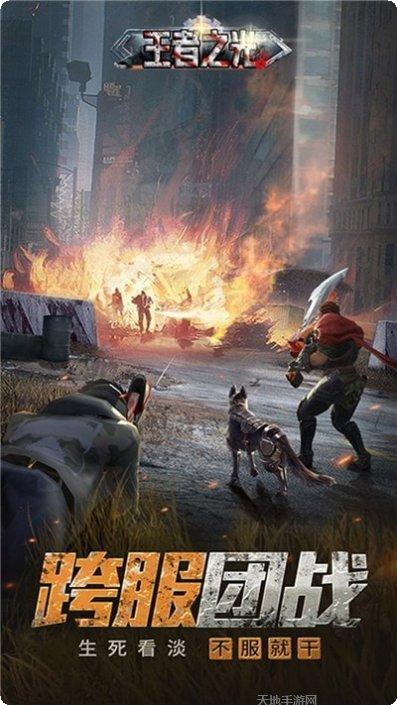 王者之师三国策略阵容搭配