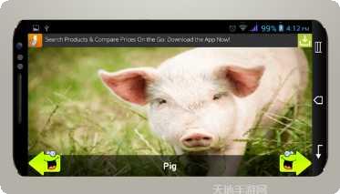 动物运动会玩法介绍