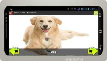 动物运动会攻略分享