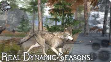 终极野狐模拟器2攻略