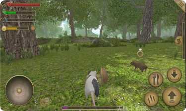 老鼠模拟器3D最新版本