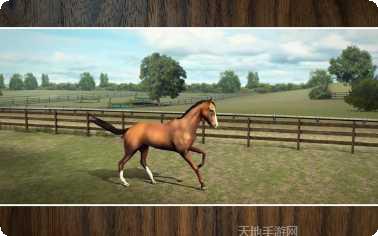 我的马模拟器安卓版