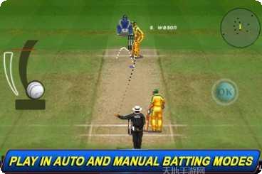 T20板球世界杯2012游戏下载