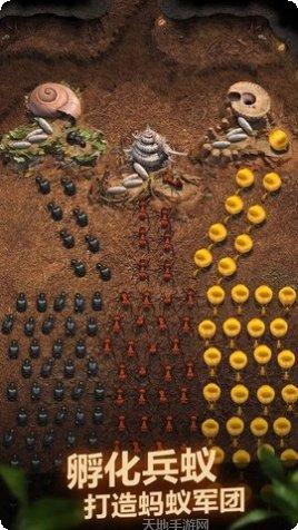 The Walking Dead Land生存技巧