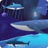 梦幻海岛红包版