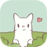 猫和汤猫汤物语