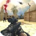 军队射手枪支专家