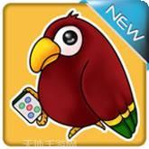 圣盛十堰卡五星