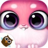 我可爱的小宠物