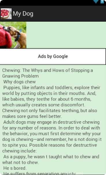 我的狗头下载地址