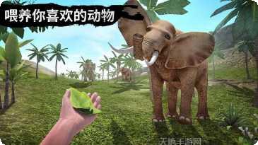 野外狩猎生存技巧