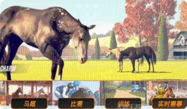 Rival Arena VS对战技巧