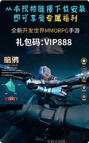 命运之刃果盘版礼包