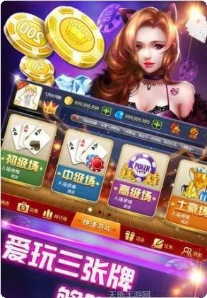 盛赢在线棋牌玩法