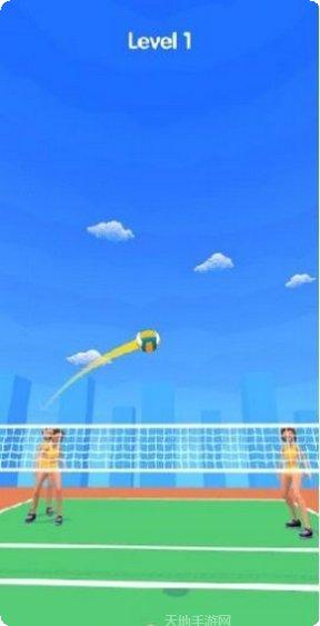 3D打排球游戏下载