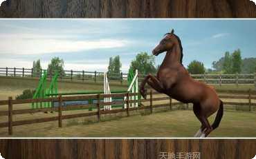 我的马模拟器宠物获取