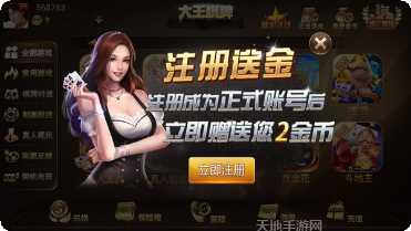 大王棋牌游戏规则