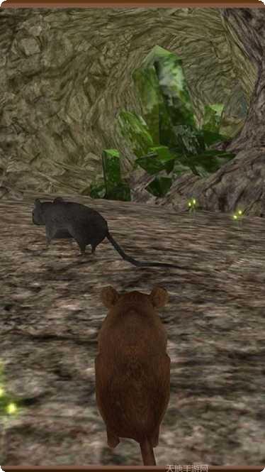 老鼠模拟器3D下载