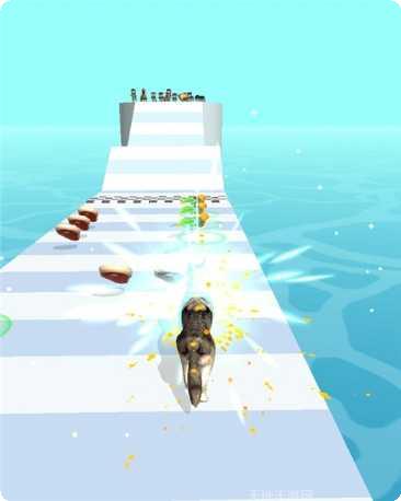 宠物跑3D最新版本