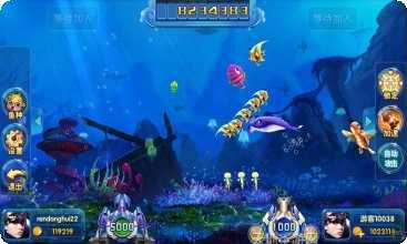 九龙至尊棋牌游戏下载