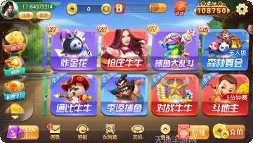 边锋娱乐安卓版