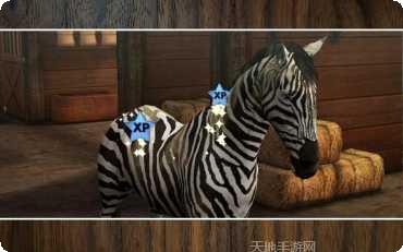 我的马模拟器攻略